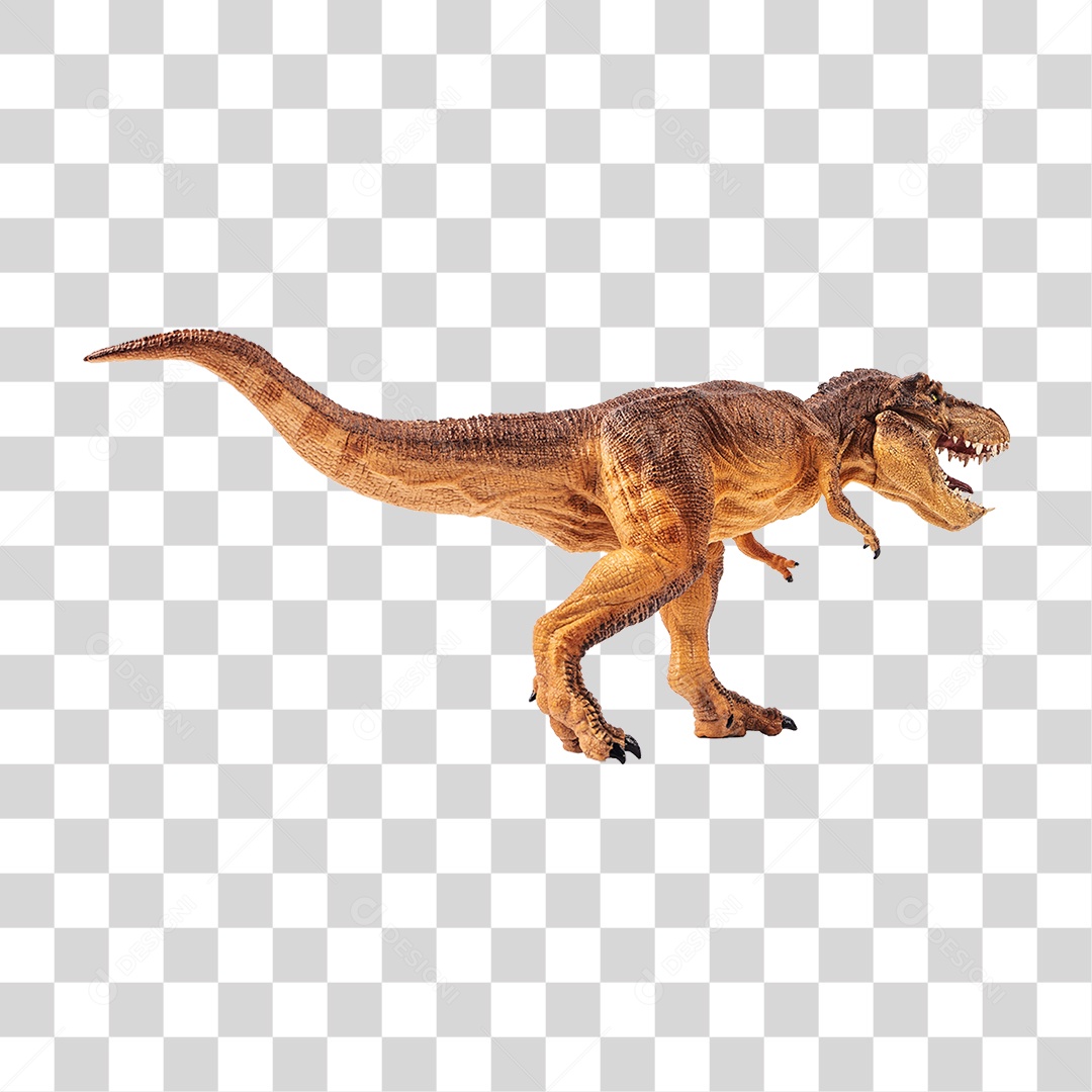 Objeto 3D Dinossauro Tirannosaurus Rex Para Composição PNG Transparente