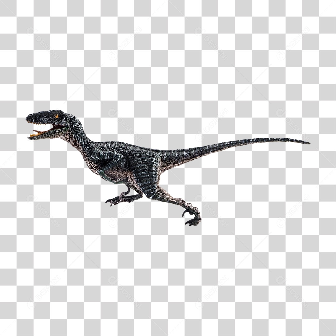Objeto 3D Dinossauro Velociraptor Para Composição PNG Transparente