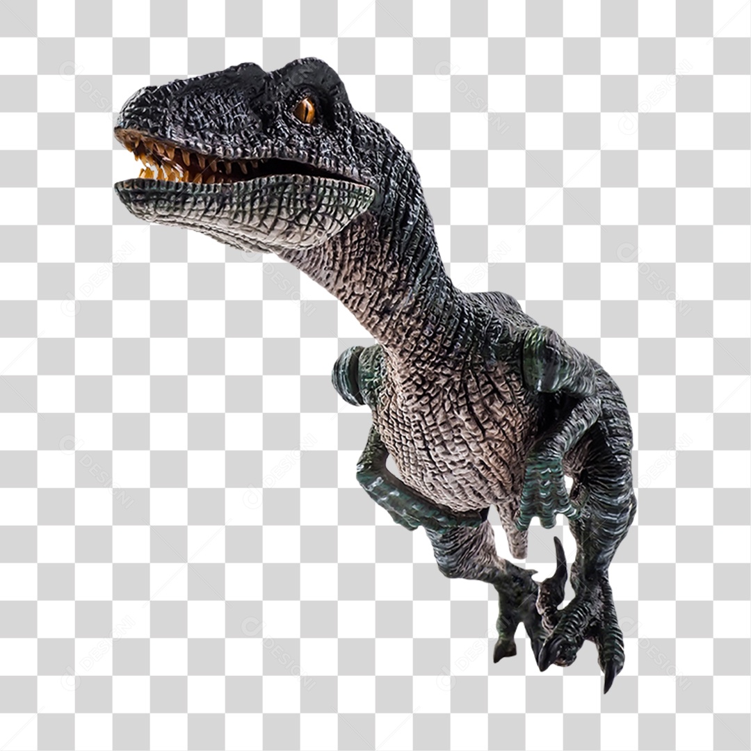 Objeto 3D Dinossauro Velociraptor Para Composição PNG Transparente