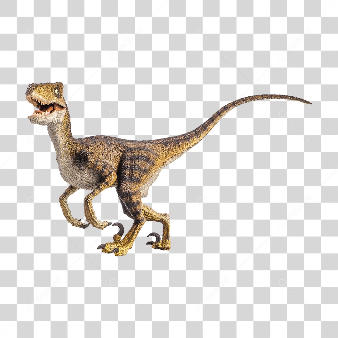 Objeto 3D Dinossauro Velociraptor Para Composição PNG Transparente
