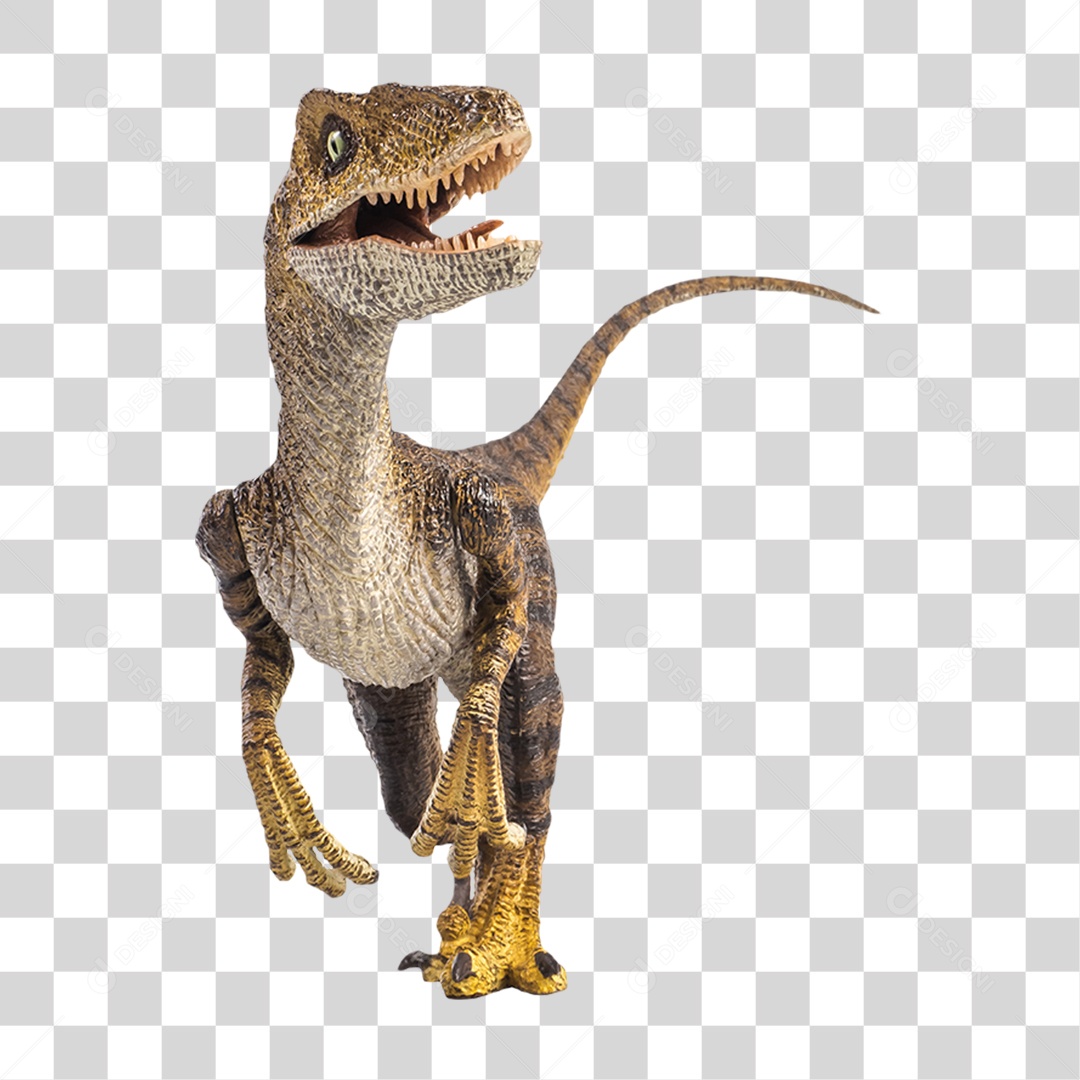 Objeto 3D Dinossauro Velociraptor Para Composição PNG Transparente