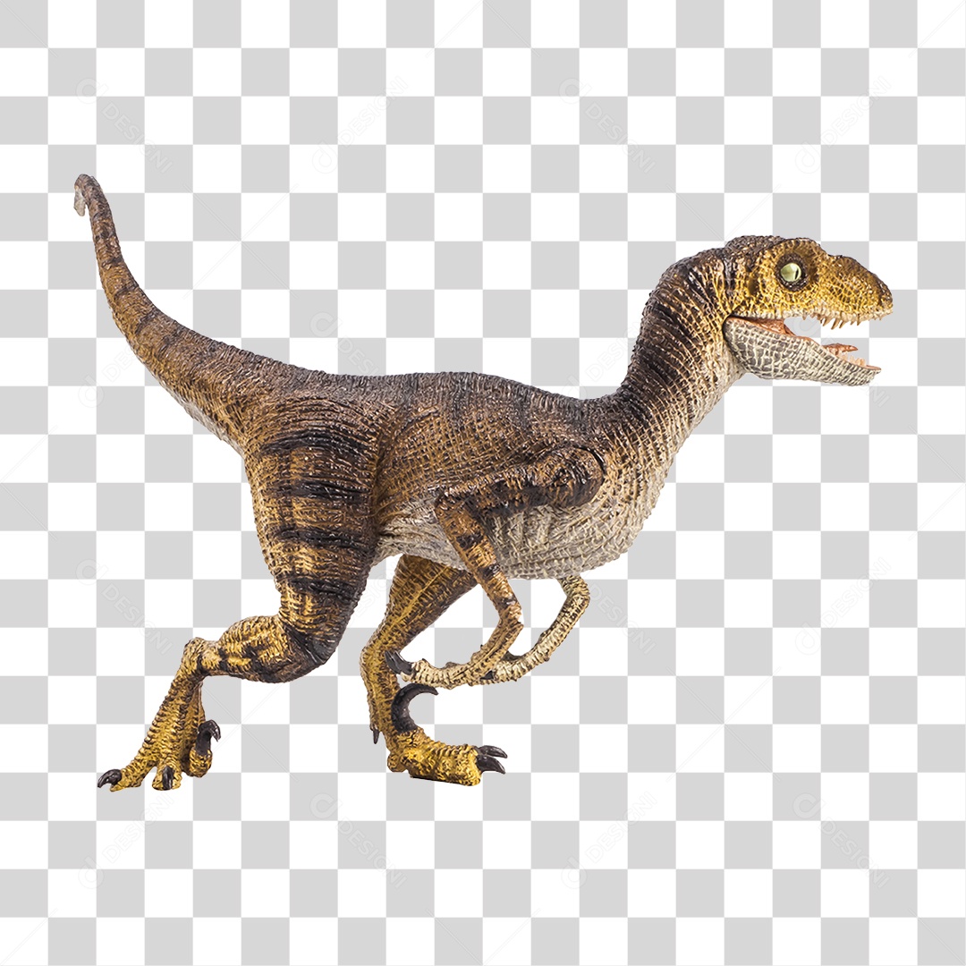 Objeto 3D Dinossauro Velociraptor Para Composição PNG Transparente