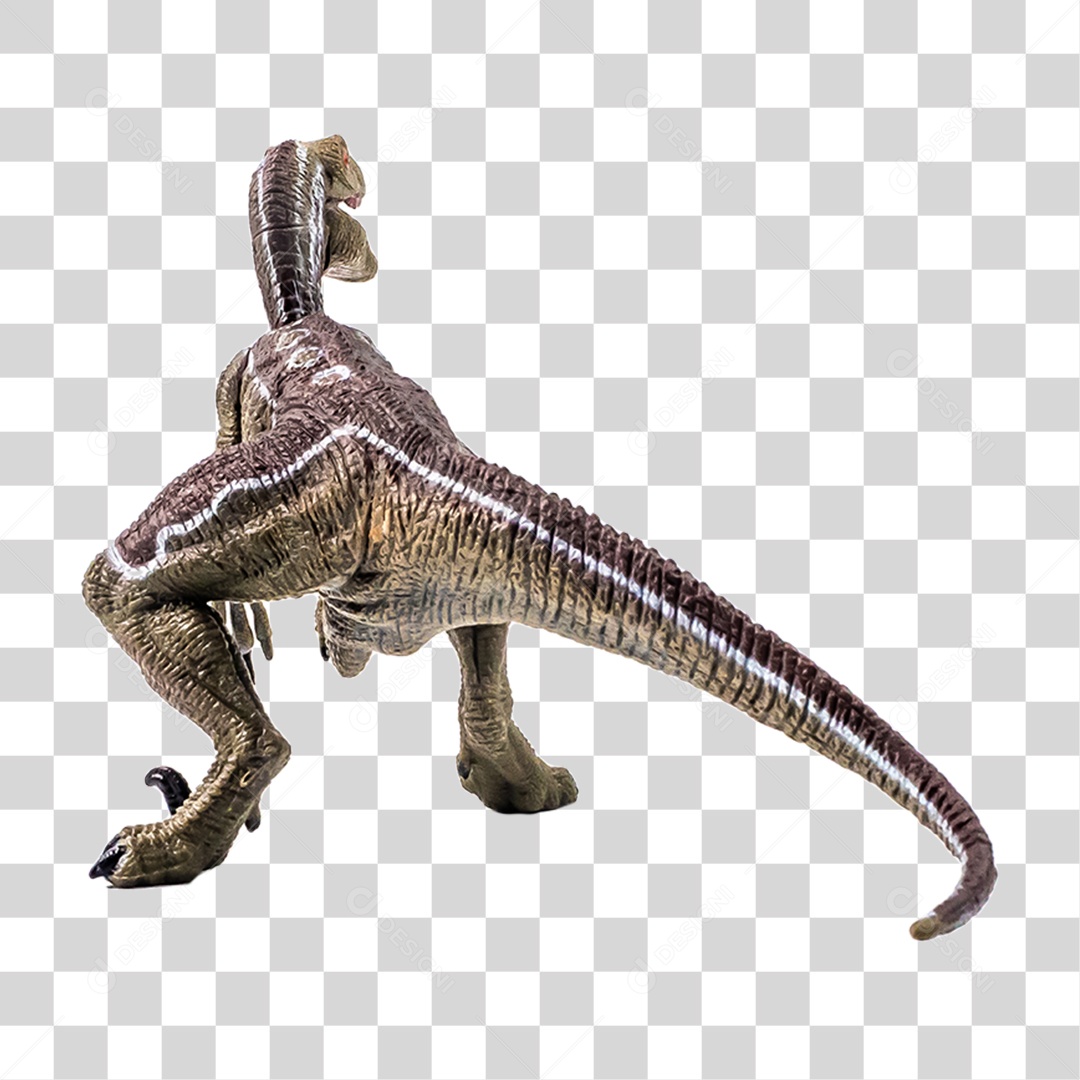 Objeto 3D Dinossauro Velociraptor Para Composição PNG Transparente