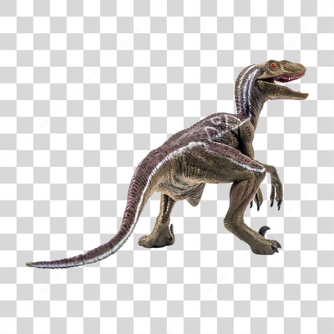 Objeto 3D Dinossauro Velociraptor Para Composição PNG Transparente
