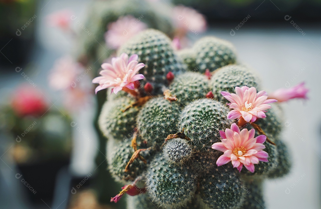 Processado com VSCO com predefinição a8