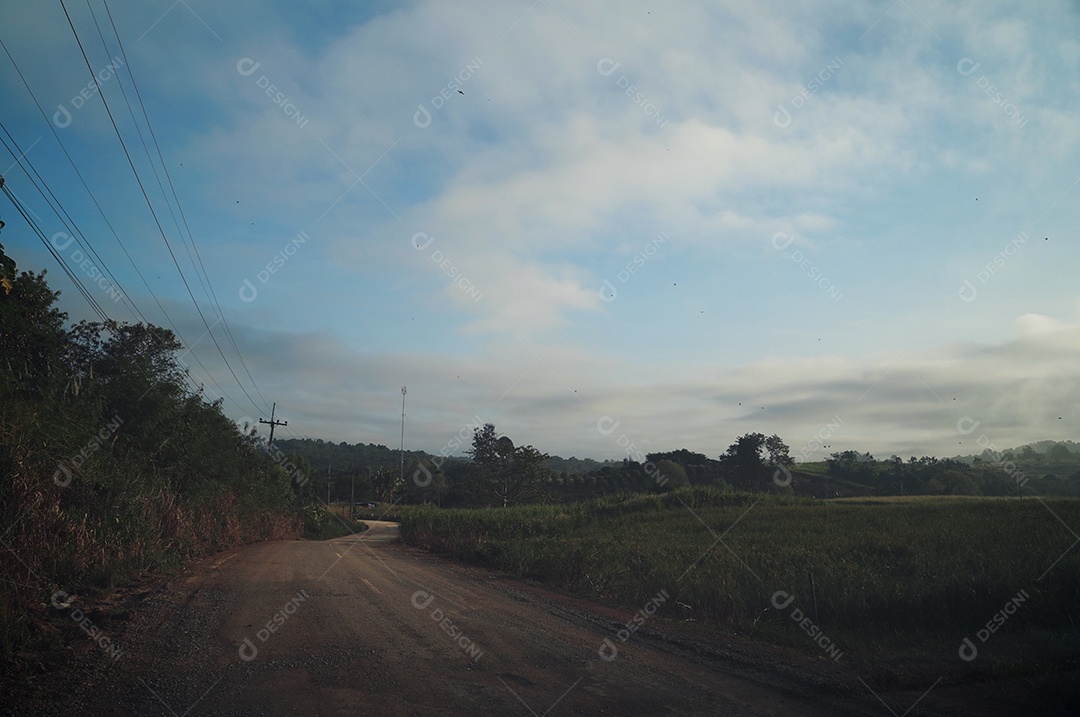 Vista estrada de terra