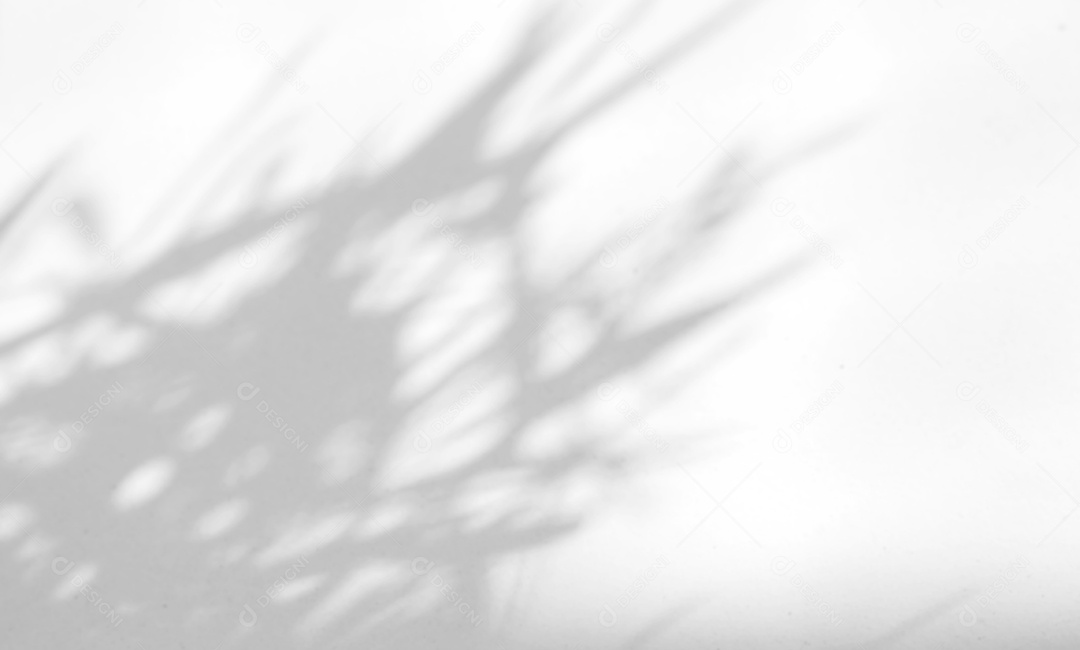 Deixa a sobreposição de sombra natural no fundo de textura branca