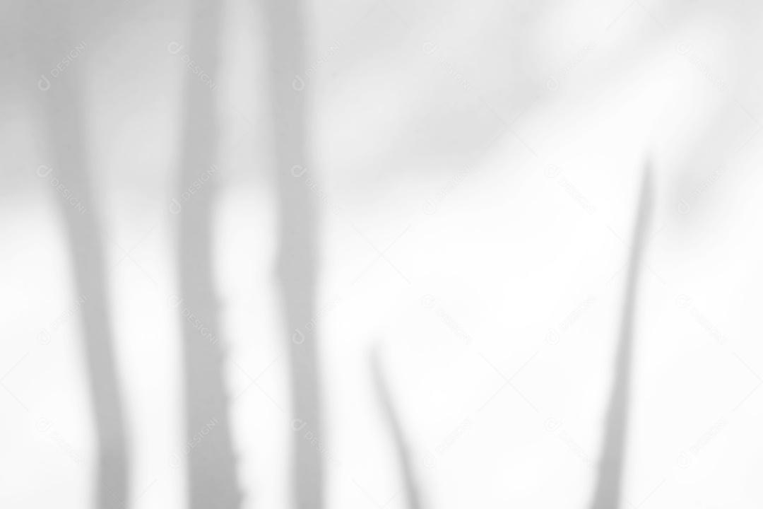 O sumário deixa a sobreposição natural da sombra no fundo branco da textura