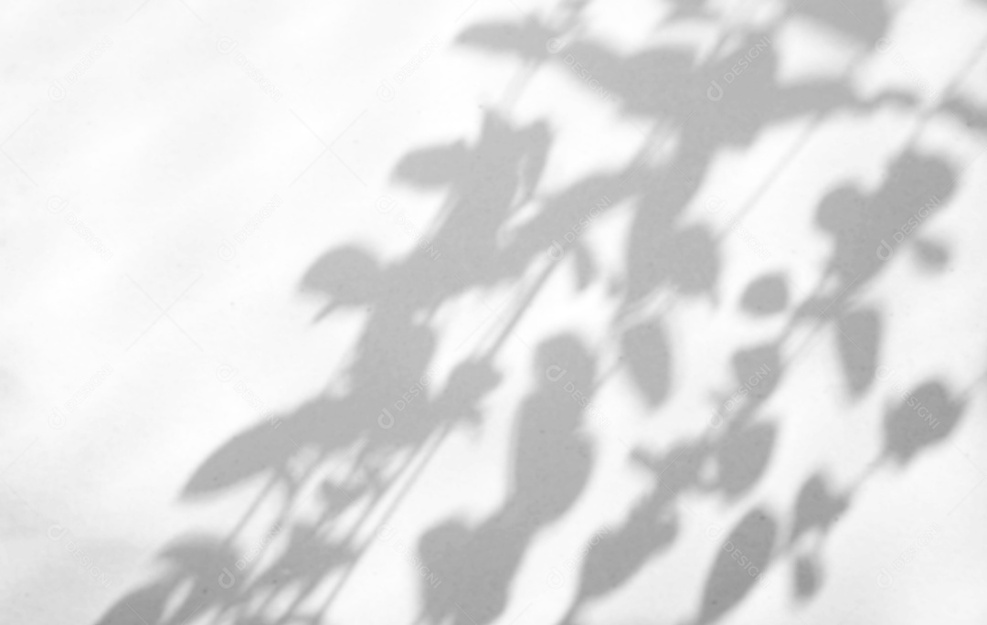 Deixa a sobreposição de sombra natural no fundo de textura branca