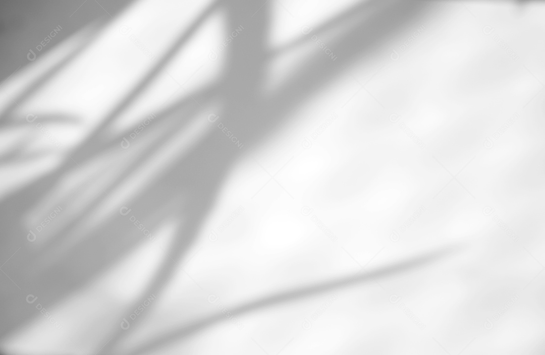 Deixa a sobreposição de sombra natural no fundo de textura branca