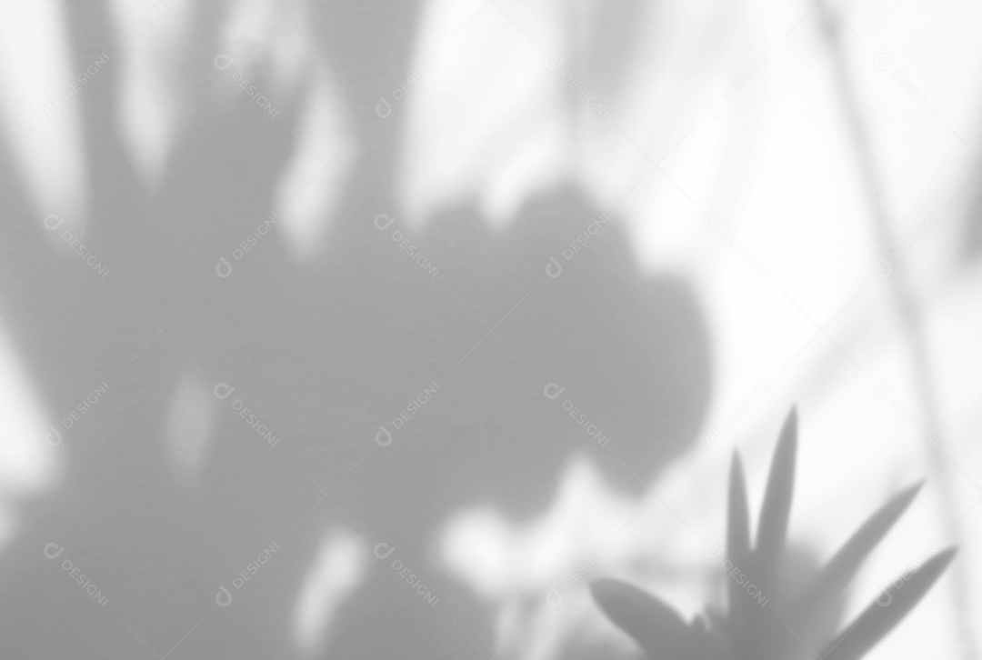 Sobreposição de sombra natural de folhas orgânicas em background de textura branca