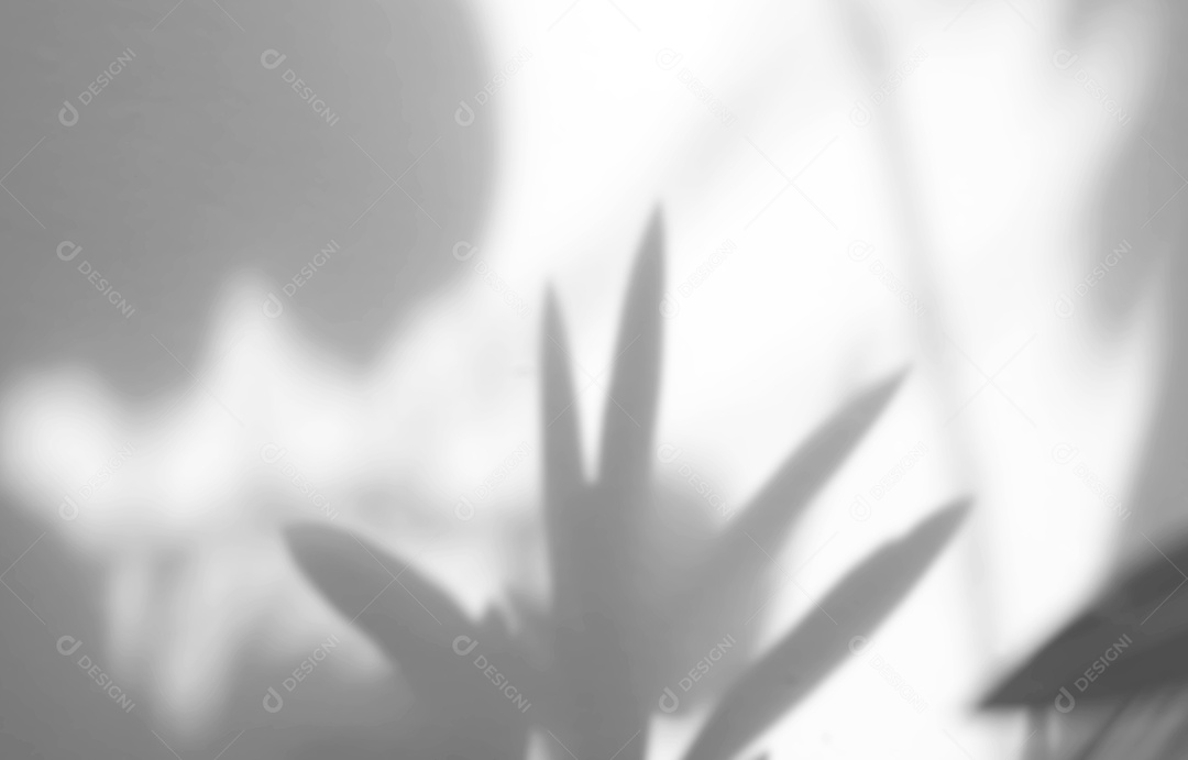 Deixa a sobreposição de sombra natural no fundo de textura branca