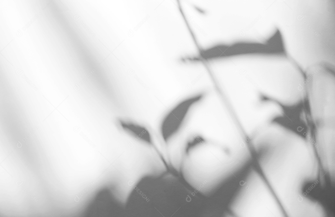 O sumário deixa a sobreposição natural da sombra no fundo branco da textura