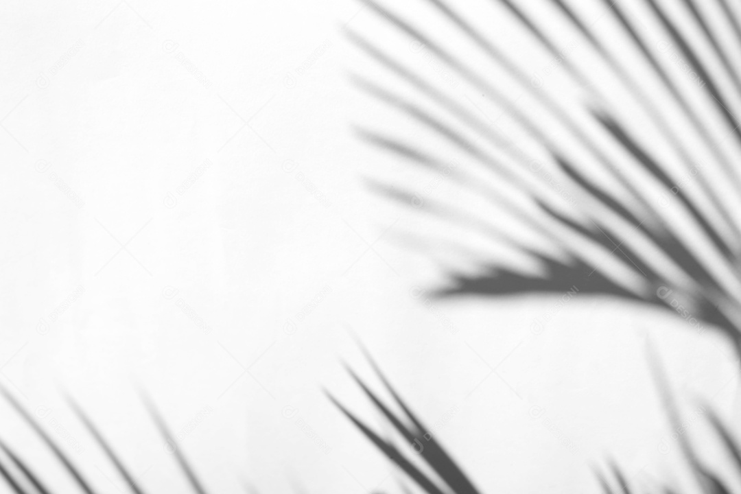 Deixa a sobreposição de sombra natural no fundo de textura branca