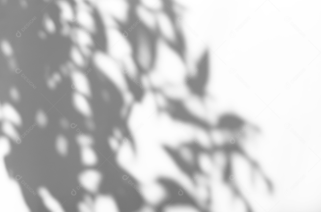 Deixa a sobreposição de sombra natural no fundo de textura branca