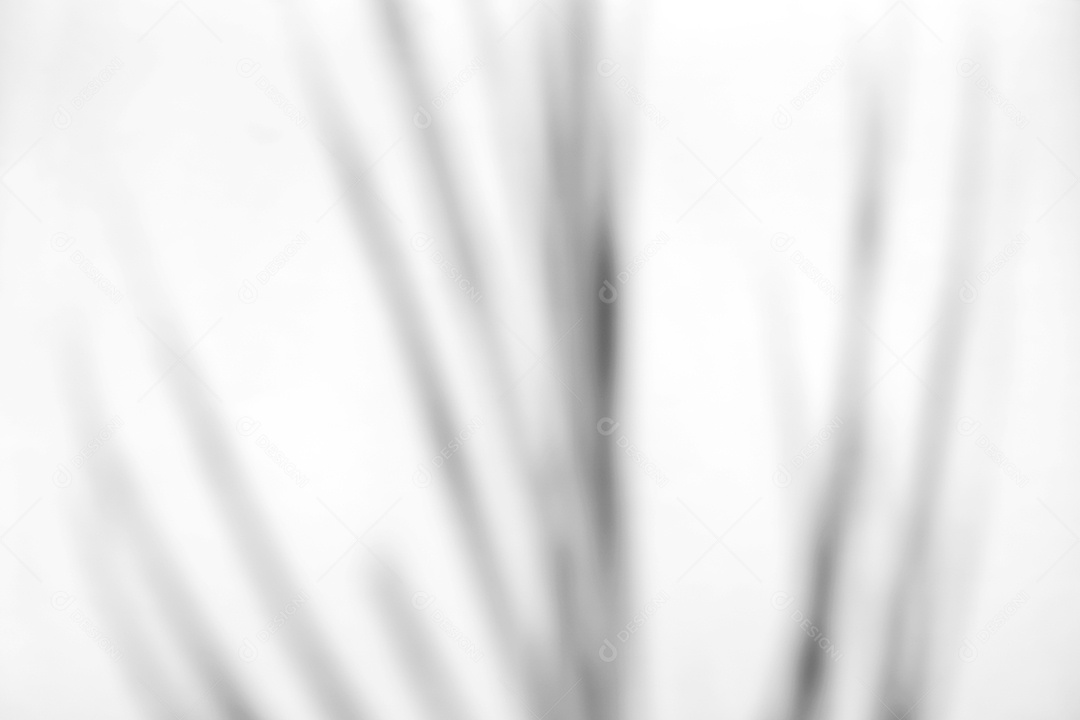 O sumário deixa a sobreposição natural da sombra no fundo branco da textura