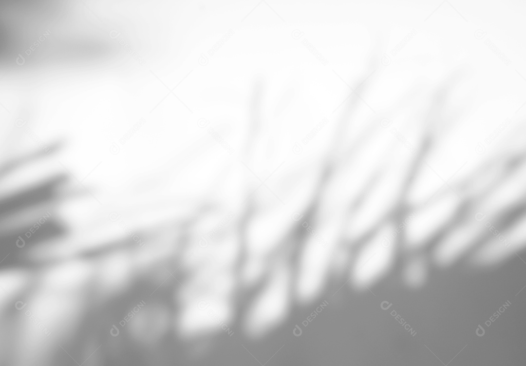 O sumário deixa a sobreposição natural da sombra no fundo branco da textura