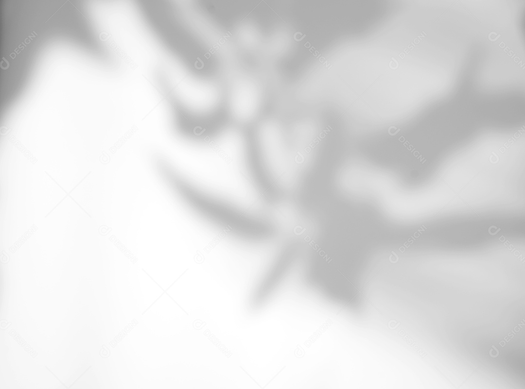 O sumário deixa a sobreposição natural da sombra no fundo branco da textura