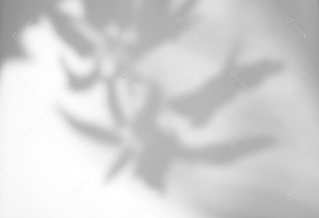 O sumário deixa a sobreposição natural da sombra no fundo branco da textura