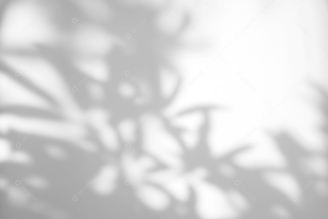 O sumário deixa a sobreposição natural da sombra no fundo branco da textura