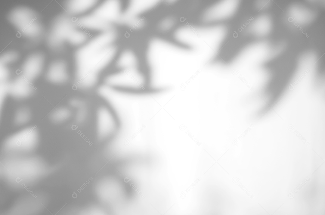 O sumário deixa a sobreposição natural da sombra no fundo branco da textura