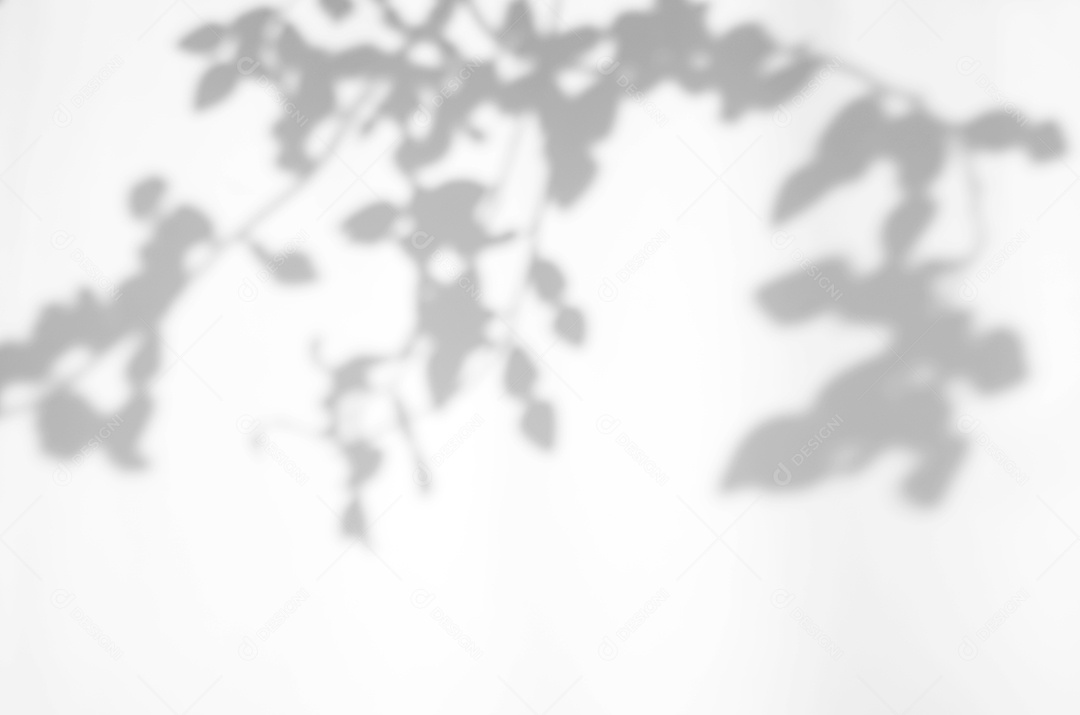 Deixa a sobreposição de sombra natural no fundo de textura branca