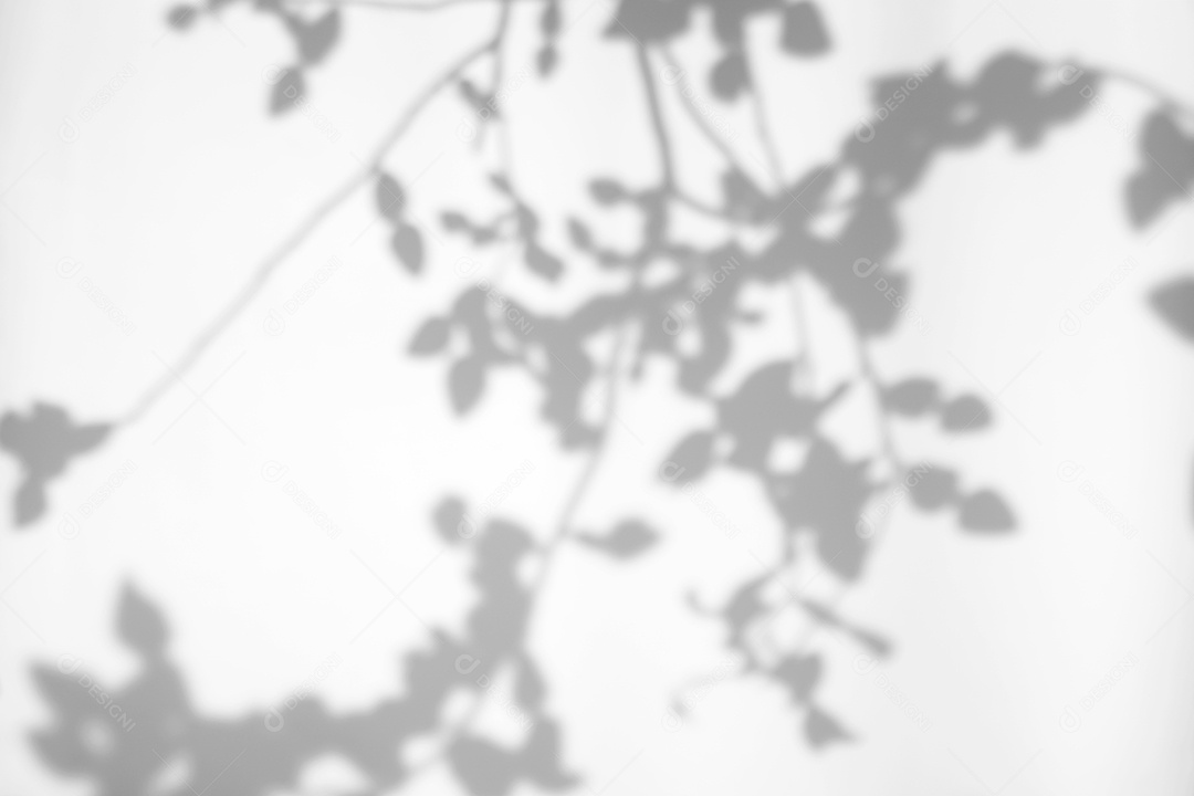 O sumário deixa a sobreposição natural da sombra no fundo branco da textura