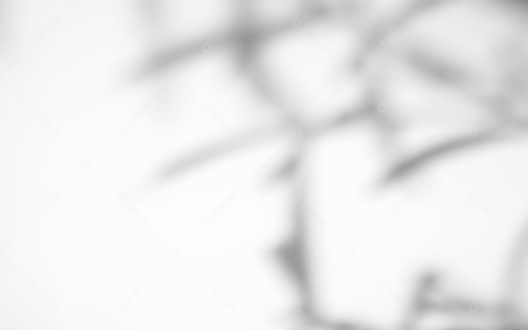 O sumário deixa a sobreposição natural da sombra no fundo branco da textura