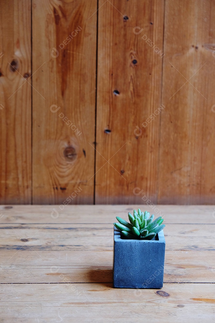 Vaso de flor de decoração