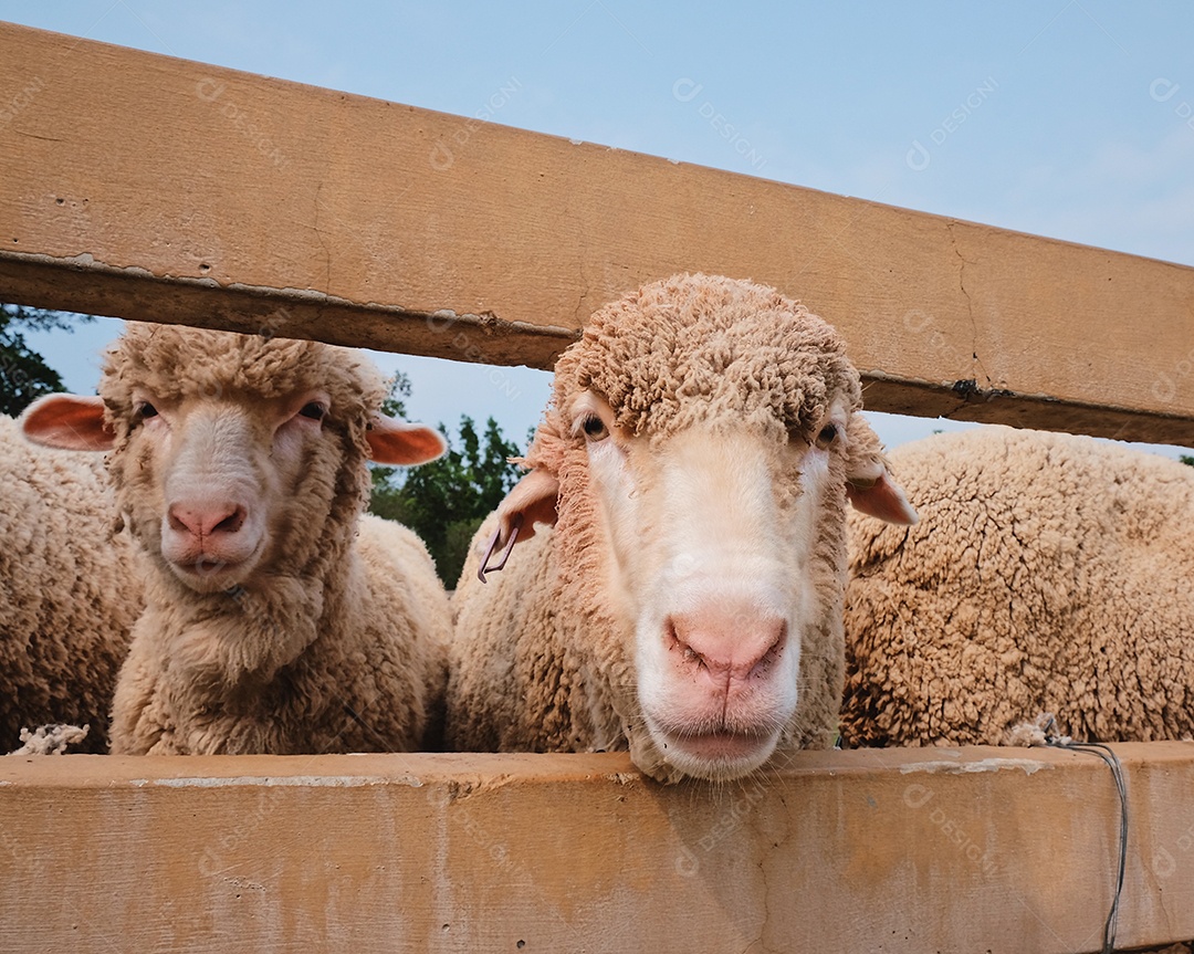 Processado com VSCO com predefinição al3