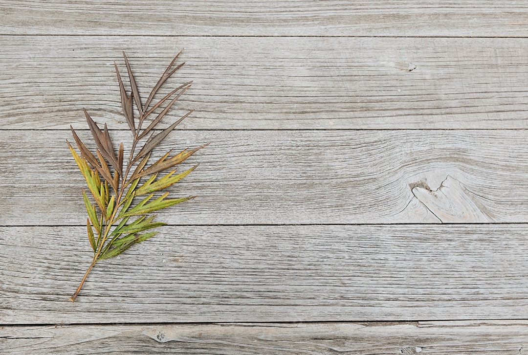 Processado com VSCO com predefinição a6