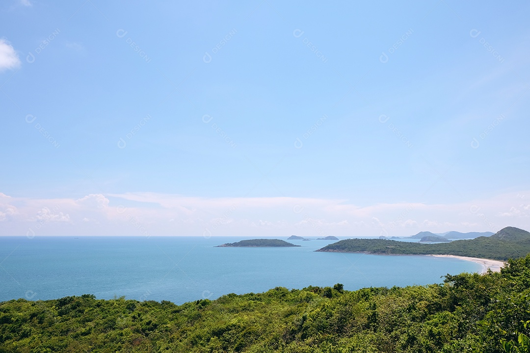 Paisagem praia com floresta verde