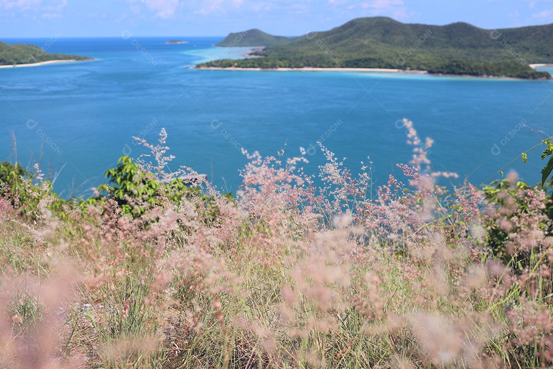Paisagem da praia com campo de flores