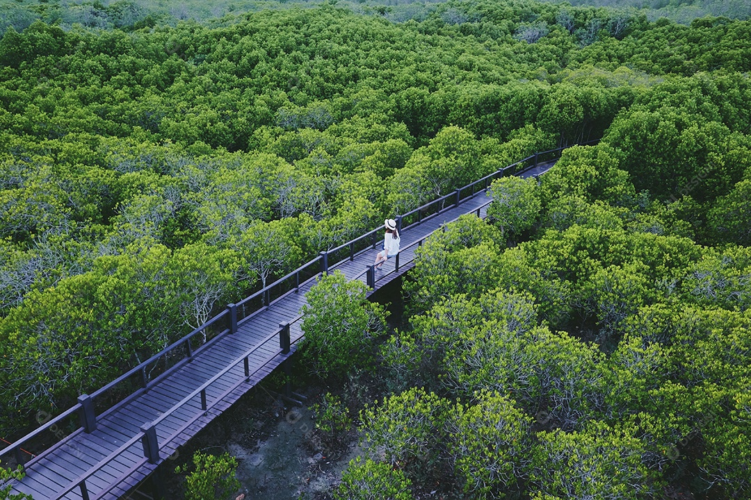 Ponte madeira em meio a floresta verde