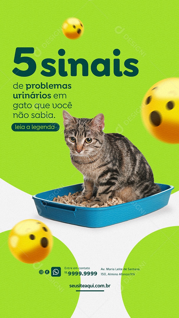Story Cinco sinais de problemas urinários Pet Shop Social Media PSD Editável
