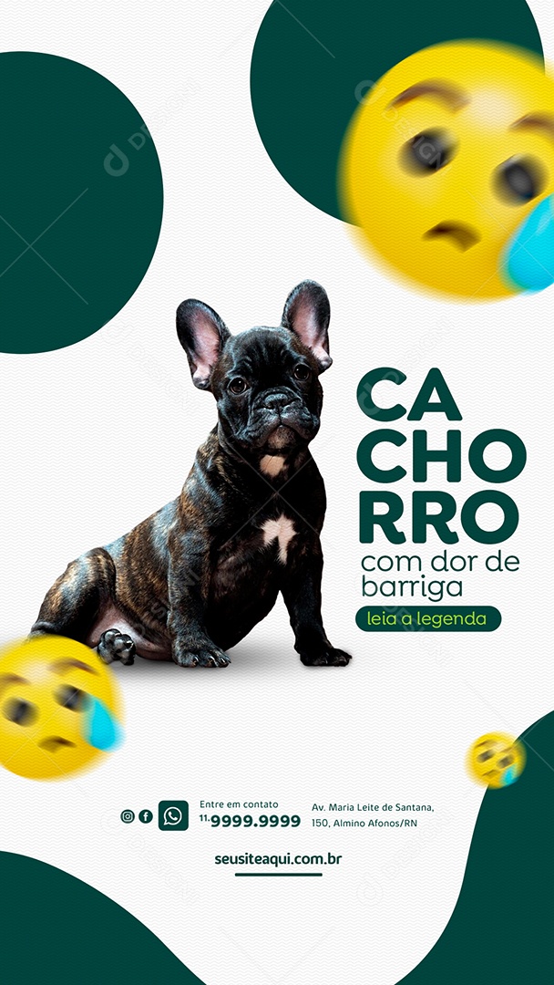Story Cachorro com dor de barriga Petshop Social Media PSD Editável