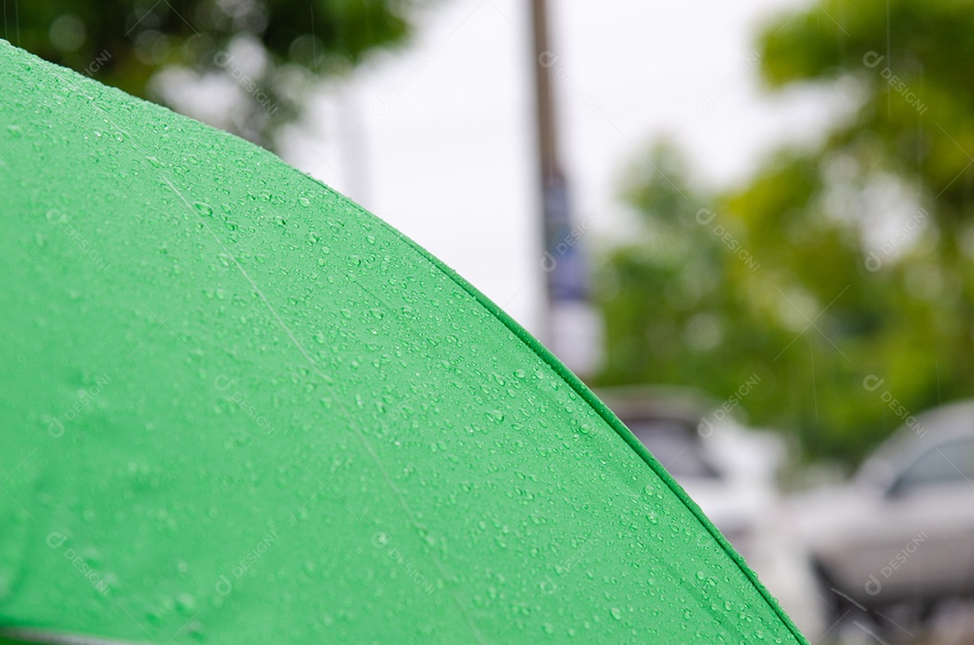 Rain on the green umbrella. Drop of water