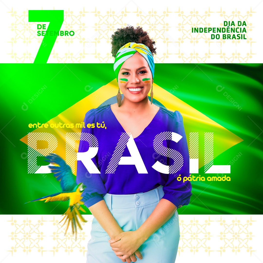 Dia 7 De Setembro Independência Do Brasil Social Media PSD Editável