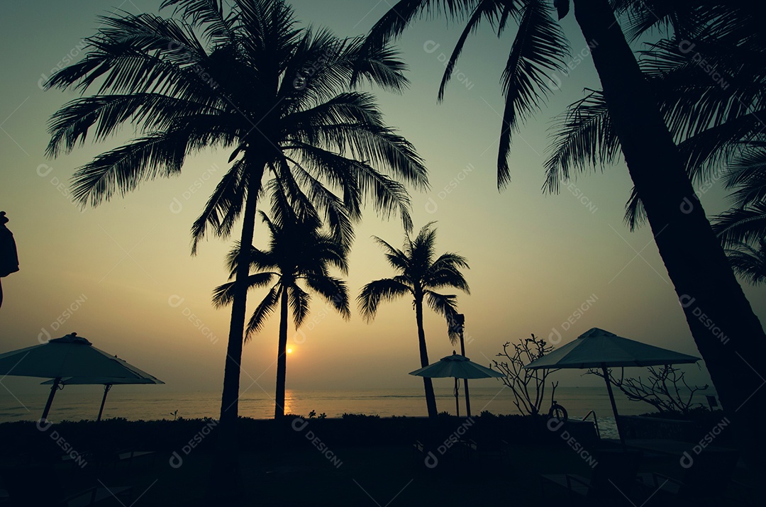 Palmeiras sobre o vintage de fundo por do sol bonito.