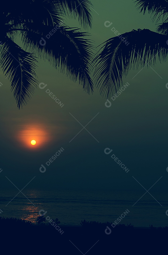 Palmeiras sobre o vintage de fundo por do sol bonito.