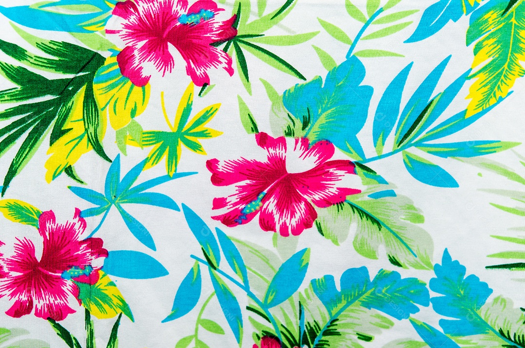 Textura elegante moderna. A flor de algodão.