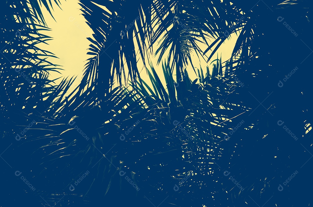 Palmeiras no fundo do pôr do sol lindo.