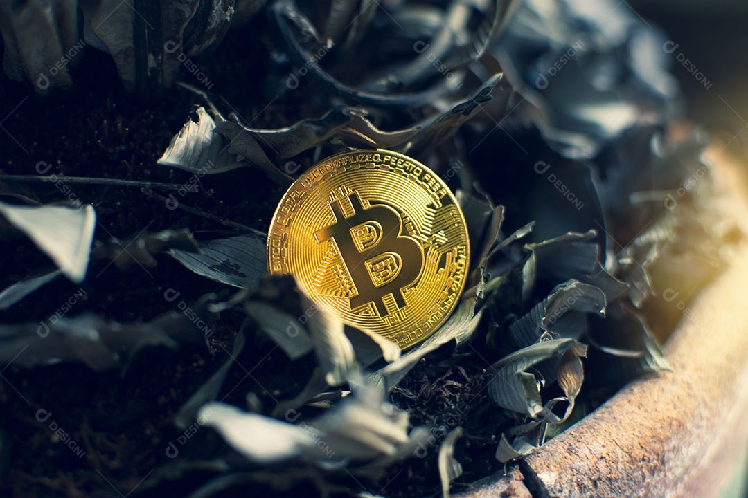 Golden Bitcoin placed on a background of dry leaves with sunlight