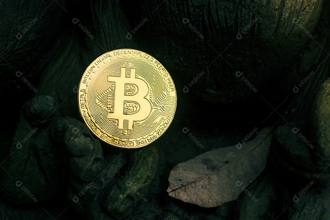 Bitcoin dourado colocado na rocha com folha seca, Cryptocurrency