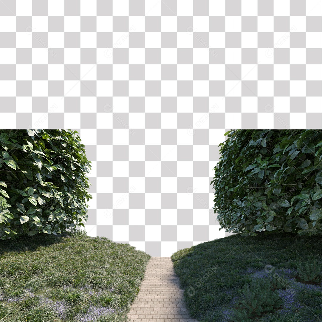 Planta Arbusto estrada PNG Transparente