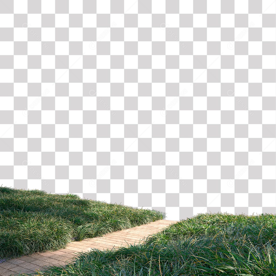 Planta Arbusto estrada PNG Transparente