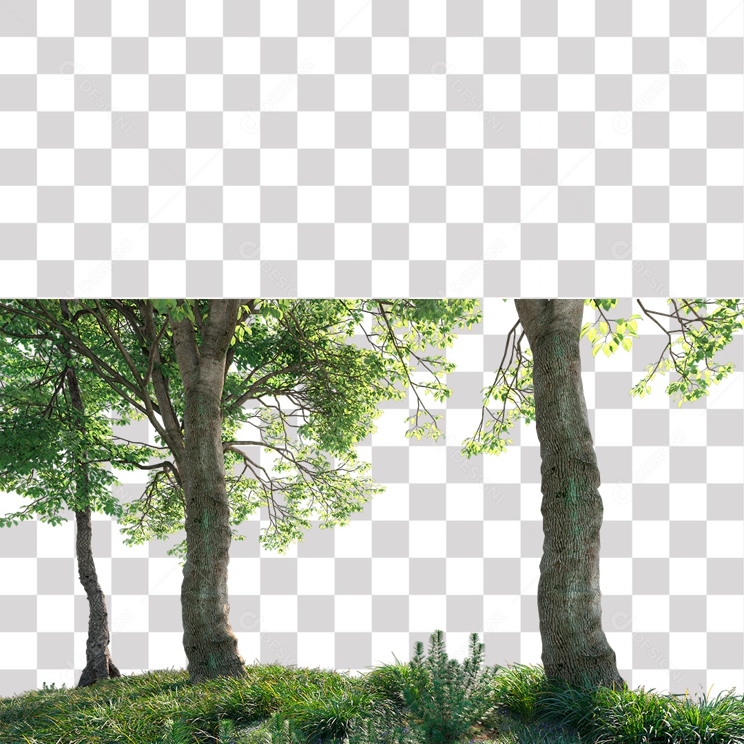 Árvores verdes PNG Transparente