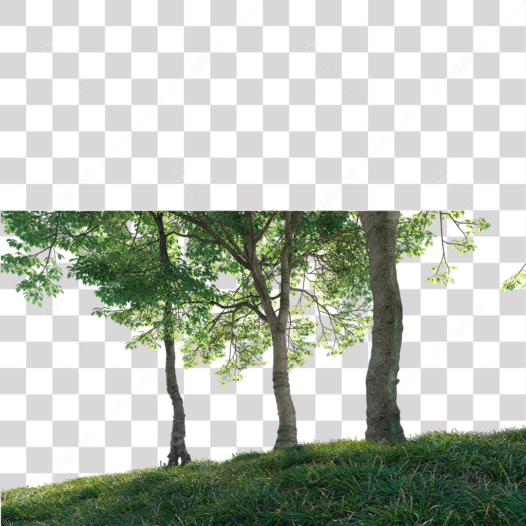 Árvores verdes PNG Transparente