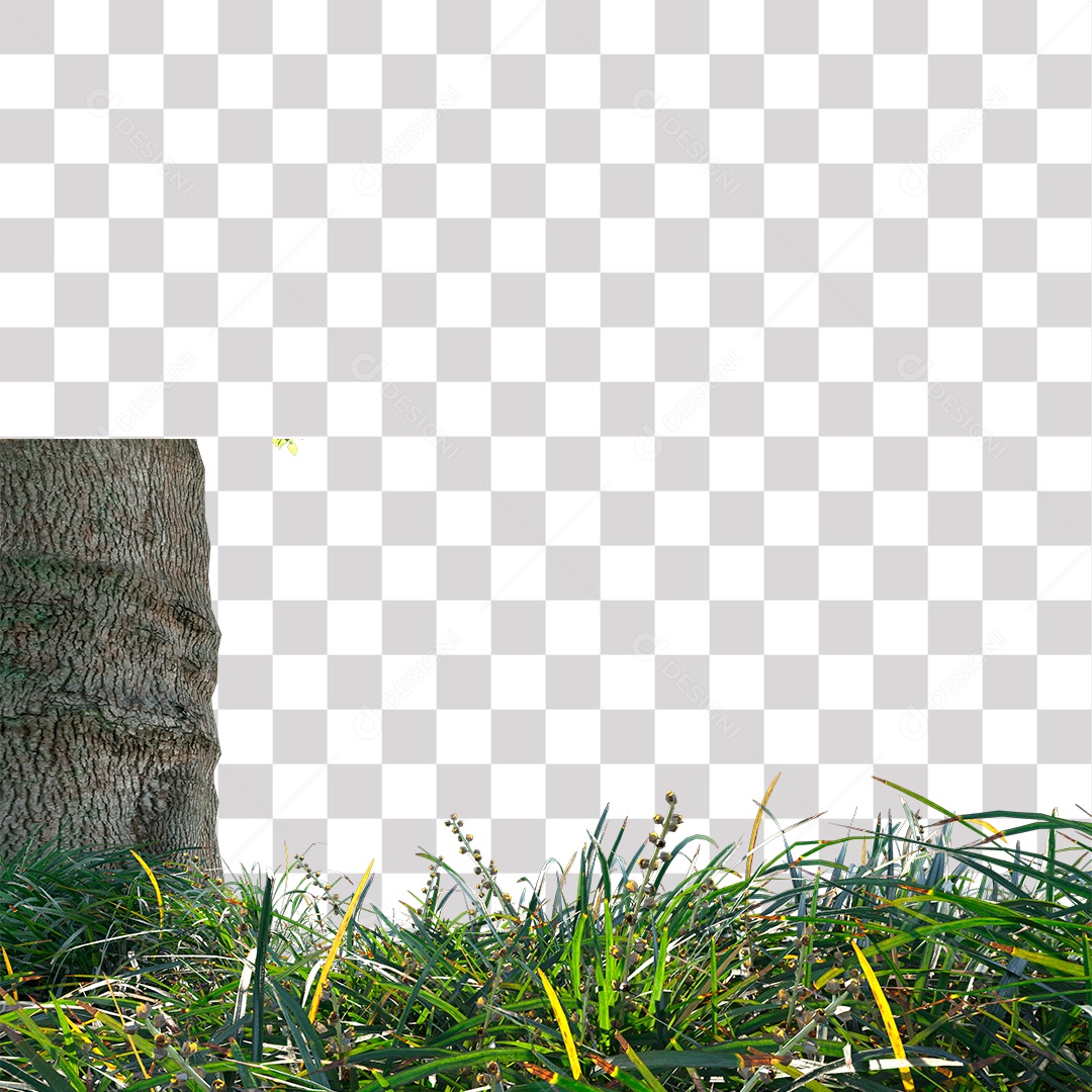 Tronco de árvore Planta PNG Transparente