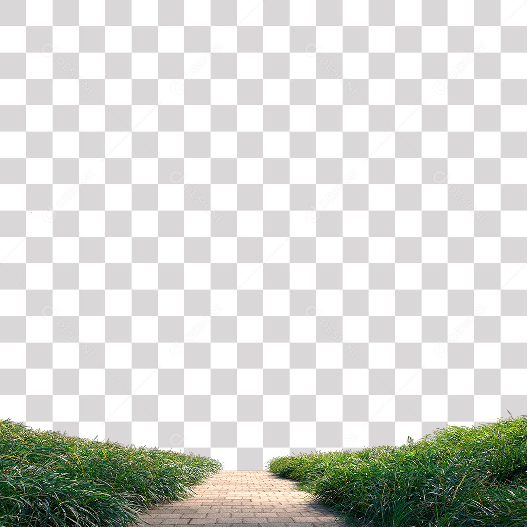 Planta Arbusto estrada PNG Transparente